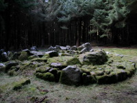 Ballyedmonduff Wedge Tomb